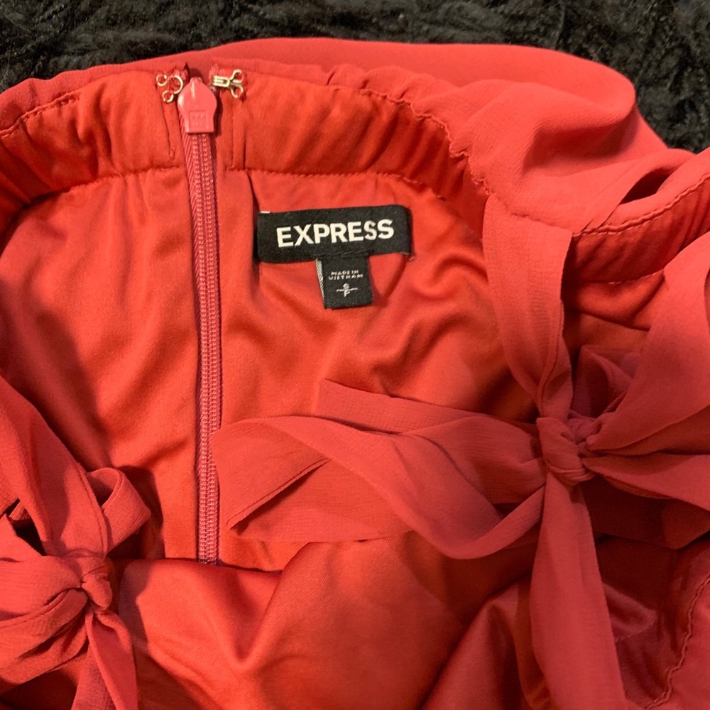 Express Dress - Picture 2 of 3